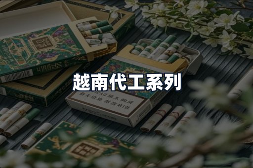 越南代工系列